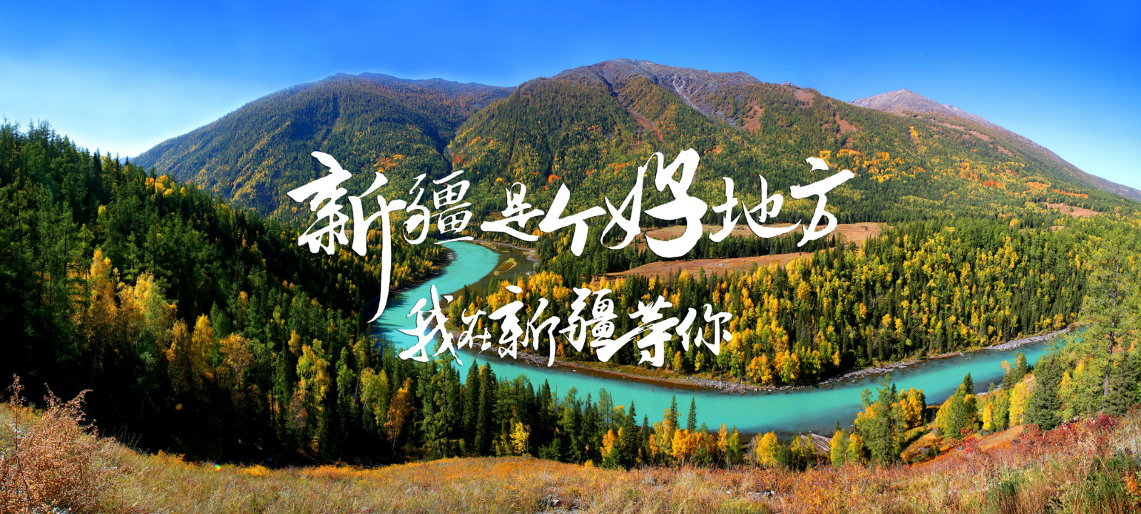 DƬ20_meitu_1.jpg